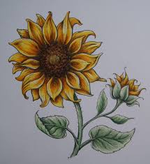 I have to admit that when i fly, i love to draw or color. Copic Marker Europe Sunflower Tutorial