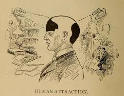 Phrenology Diagrams From Vaught S Practical Character Reader 1902 The Public Domain Review In 2020 Phrenology Science Illustration Character Illustration