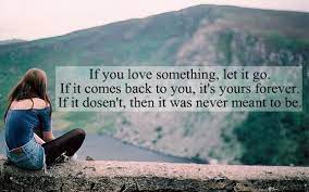 Enjoy it while it lasts. Love Comes And Goes Quotes Quotesgram