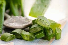 Comment Faire Du Gel D Aloe Vera Maison Et Quelles Sont Ses Applications Ameliore Ta Sante Aloe Vera Gel Remedes Naturels Contre L Acne Aloes