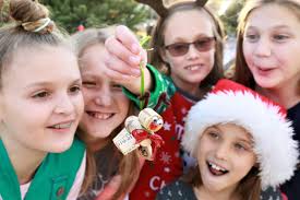 Charlie Brown Christmas Tree Grove in Windsor