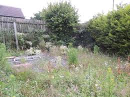 Pull the tendrils and foliage out of the soil. Best Way To Clear Overgrown Garden Boards Ie