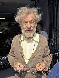 Sir Ian Mckellan Probably Combs His Own Hair Sir Ian Mckellen Ian Mckellen Hollywood Actor