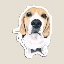 We did not find results for: Beagle Home Living Redbubble