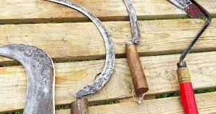 Pour la plume, voir faucille (plume). Le Geste Utile Rehabiliter La Faucille Jardin Le Telegramme