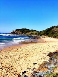 Port Macquarie Nsw Australia In 2020 With Images Coast Australia New South Wales Australia