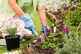 These flowers only grow about 4 inches in diameter, making it a petite mum to add to your garden that won't take up too much space. Designing A Flower Garden Greenmylife