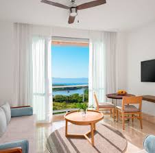 Image result for Oldenlandia verrucitesta