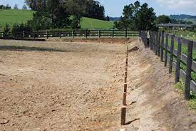 Dressage Arena Guide - Everything You Need To Know On How To Build