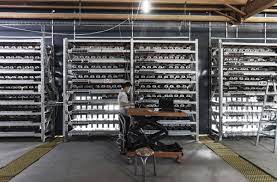 China Says Bitcoin Is Wasteful Now It Wants To Ban Mining What Is Bitcoin Mining Bitcoin Mining Bitcoin Miner