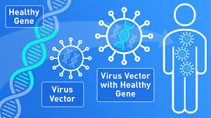 What Is Gene Therapy How Does It Work Fda