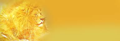 Header 1080p 2k 4k 5k Hd Wallpapers Free Download Wallpaper Flare