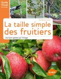 Rameaux Et Bourgeons Des Arbres Fruitiers