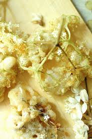 They are also known as black locust flowers in english and simply fiori d'acacia in italian, even if they are these fried black locust flowers can be called in two ways in italian. Frittelle Di Fiori Di Sambuco E Acacia