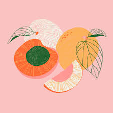 Apricots Png Art Et Illustration Illustration Mouton Dessin