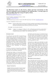 Image result for Triumfetta setulosa