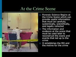 Ppt The Crime Scene Powerpoint Presentation Free Download Id 5790059