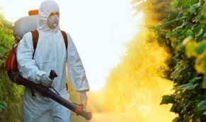 What types of pests do exterminators cover? Contact Ideal Pest Control Services Sharjah Pest Control Company