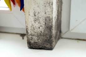 However, basement windows are a common source of basement leaks, since they often lie below ground level; What Causes Mold To Grow In Basements