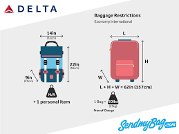 delta baggage allowance and fees for carry on checked