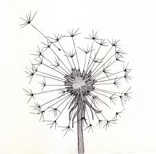 Haikud Aile Juin 2010 Pencil Drawings Tumblr Cool Drawings Drawings