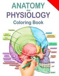 Download Anatomy And Physiology Coloring Book Human Anatomy Coloring Book Workbook Updated Edition Paperback Eso Won Books
