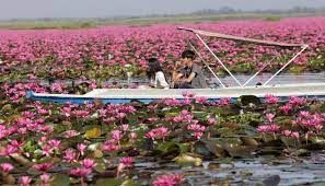 Buat Liburan Berkesan Dengan Mengunjungi 6 Wisata Thailand Selatan