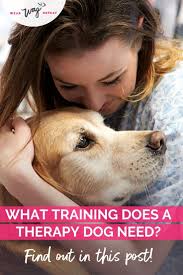 Pin On All About Dogs
