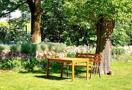 Allerdings können sie auch lästig werden, wenn sie pflanzen befallen. Ameisen Im Garten Bekampfen Sind Ameisen Schadlich