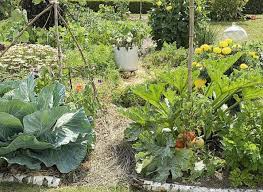 Choisir Le Bon Paillis Pour Couvrir Le Sol Du Jardin