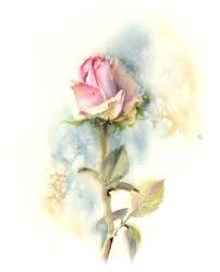 We did not find results for: Single Pink Rose Art Print Fine Art Print From Watercolor Painting By Canotstop Painting Modern Watercolour Wall Rose Painting Art Prints Watercolor Paintings