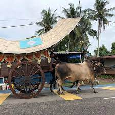 Saja nak tengok proton exora. Pin By Photography Ideas On Bullock Cart Bullock Cart Malacca Asia Travel