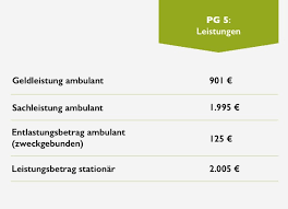 Davon mindestens 46 minuten für die tägliche grundpflege. Pflegegrade Voraussetzungen Leistungen 2021