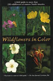 Peterson field guide coloring books: Wildflowers In Color A Field Guide To More Than 250 Wildflowers Of Eastern North America Stupka Arthur Stupka Arthur 9780062733023 Amazon Com Books