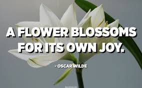 The latest global analysis of happiness and satisfaction levels shows that the most 'satised' people tend to live in latin america, western europe and north america, whereas eastern. A Flower Blossoms For Its Own Joy Oscar Wilde Quotespedia Org
