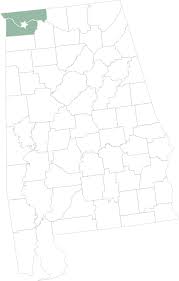 Our records show it was established in 1998 and incorporated in al. Florence Alabama Travel Guide Places To Go Restaurants And Hotels Alabama Travel
