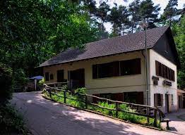 Die hütte liegt in einer höhe von 400 m1. Sankt Martin Pwv Haus An Den Fichten Am Oberen Eingang Steht Der Kuchen Kuhler Unbedingt Beachten Mapio Net
