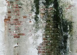 Oft wird nach einem schimmelspezialisten gefragt, der sich das schimmelproblem ansehen und messungen vor ort durchführen soll. Schwarzer Schimmel Im Mauerwerk Wie Entfernen Sie Ihn