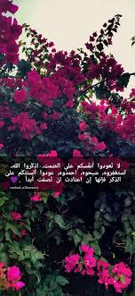 سبحان الله وبحمده سبحان الله العظيم instagram photo photo and video instagram