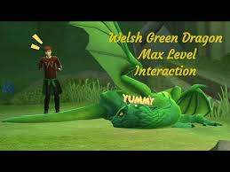 These are the ten strongest harry potter dragons! Welsh Green Dragon Max Level Harry Potter Hogwarts Mystery