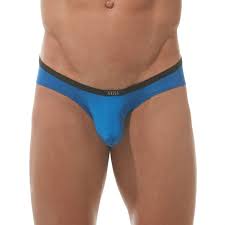 Gregg Homme Voyeur Brief mens pouch underwear bikini sexy see through male  slip | eBay