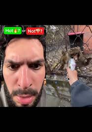 #dubstep #bassmusic #electronicmusic #edm #majed