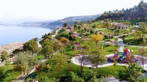 The concentrations of heavy metals were expressed as ppm wet weight of tissue. Menzelet Piknik Ve Mesire Alani 1 Etap Kahramanmaras Buyuksehir Belediyesi