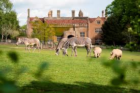 Coronavirus We Are Temporarily Closed At The Zoo