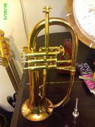 My Flugel Instruments Violin Music Instruments