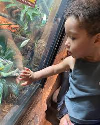 George Kee (@george_kee) · Instagram photos and videos