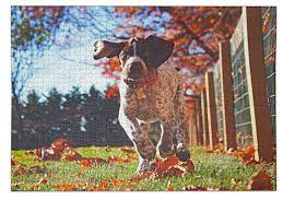 Research shows that the most important factor affecting innovation is the organizational culture. 2000 Piece Photo Puzzle For Puzzle Experts
