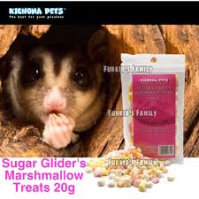 We are specialist and have experience selling sugar glider since year 2002. Kichona Pets Sugar Glider S Marshmallow Treats 20g Shopee Malaysia