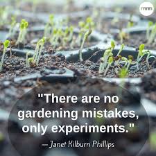 Pin On Garden V
