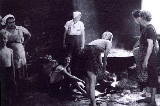 My grandmother survived a Japanese POW camp in Indonesia - ABC News